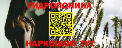 крисы Владимир