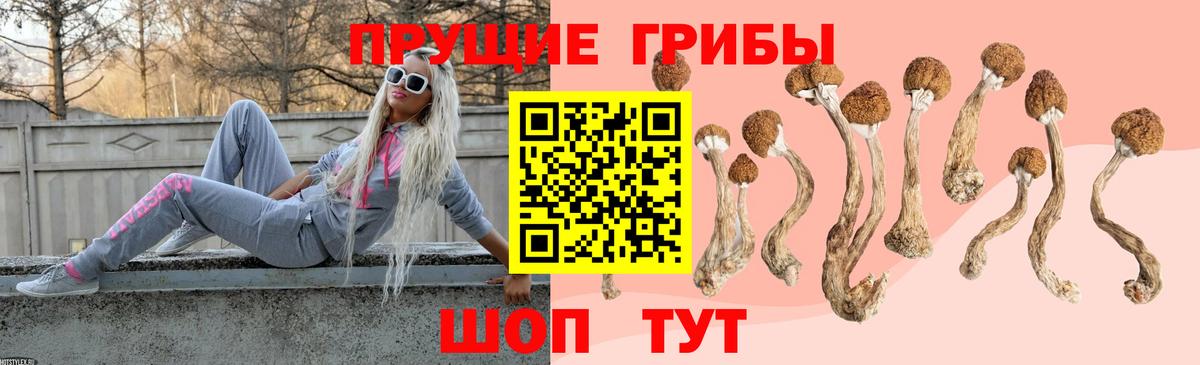Псилоцибиновые грибы мухоморы  Вход с VPN  Дзержинск 